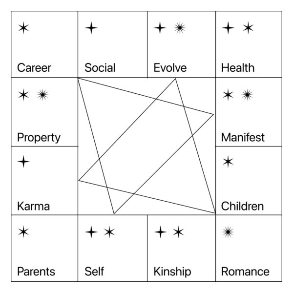 Chinese Taoism Astrology Reading ZWDS
